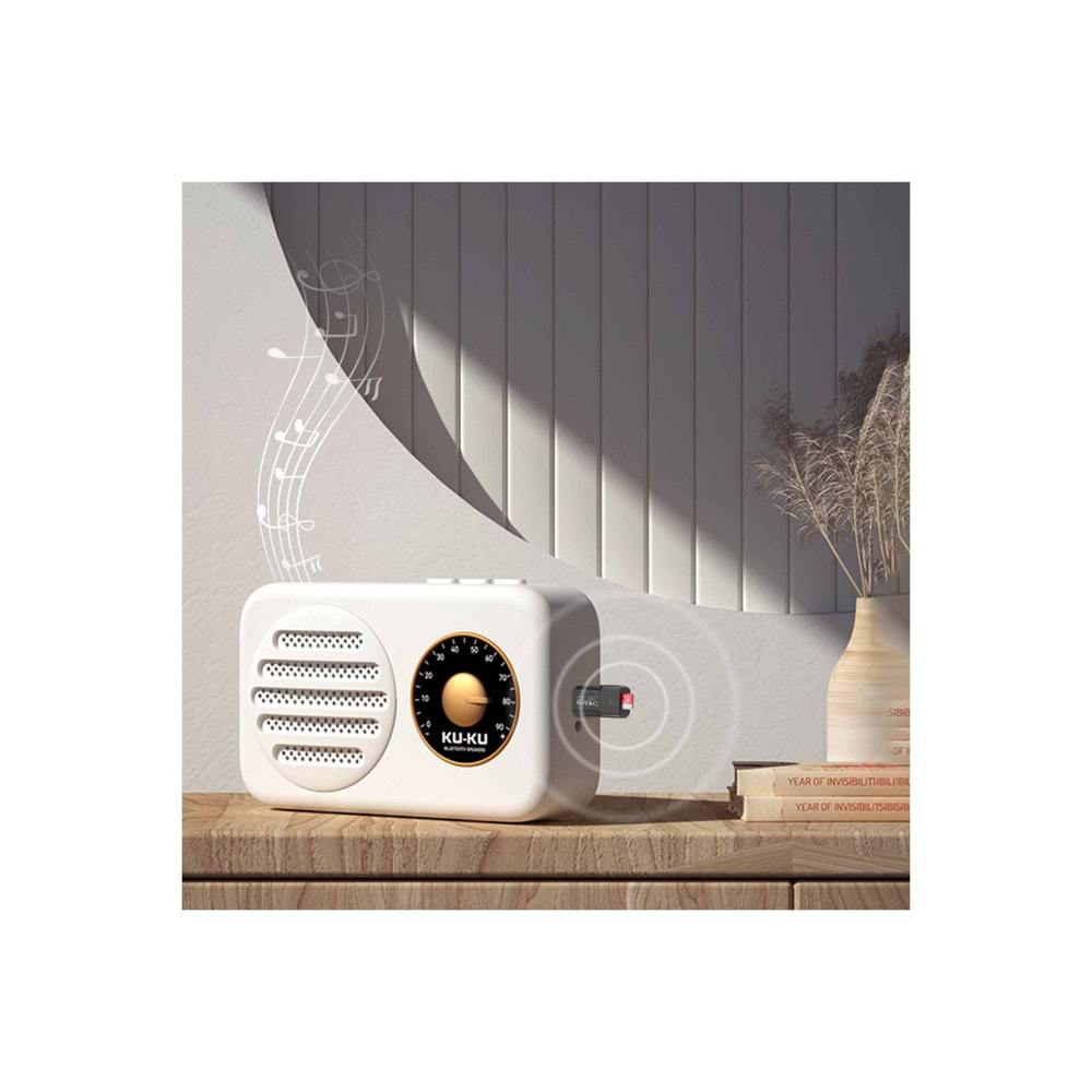 EARLDOM BR17 BT 5.3 SD KART VE AUX GİRİŞLİ USB FM TRANSMİTTER